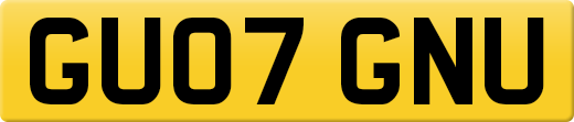 GU07GNU